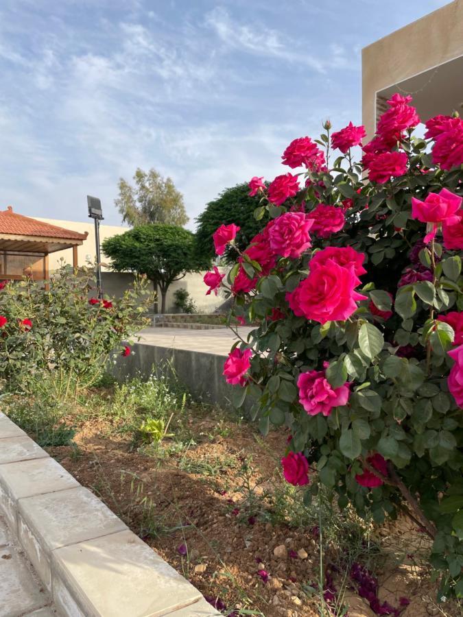 مزرعة النجم Najem Farm Βίλα Al-Qasr Εξωτερικό φωτογραφία