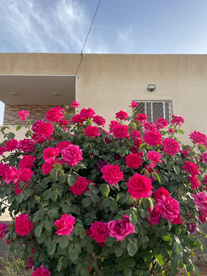 مزرعة النجم Najem Farm Βίλα Al-Qasr Εξωτερικό φωτογραφία