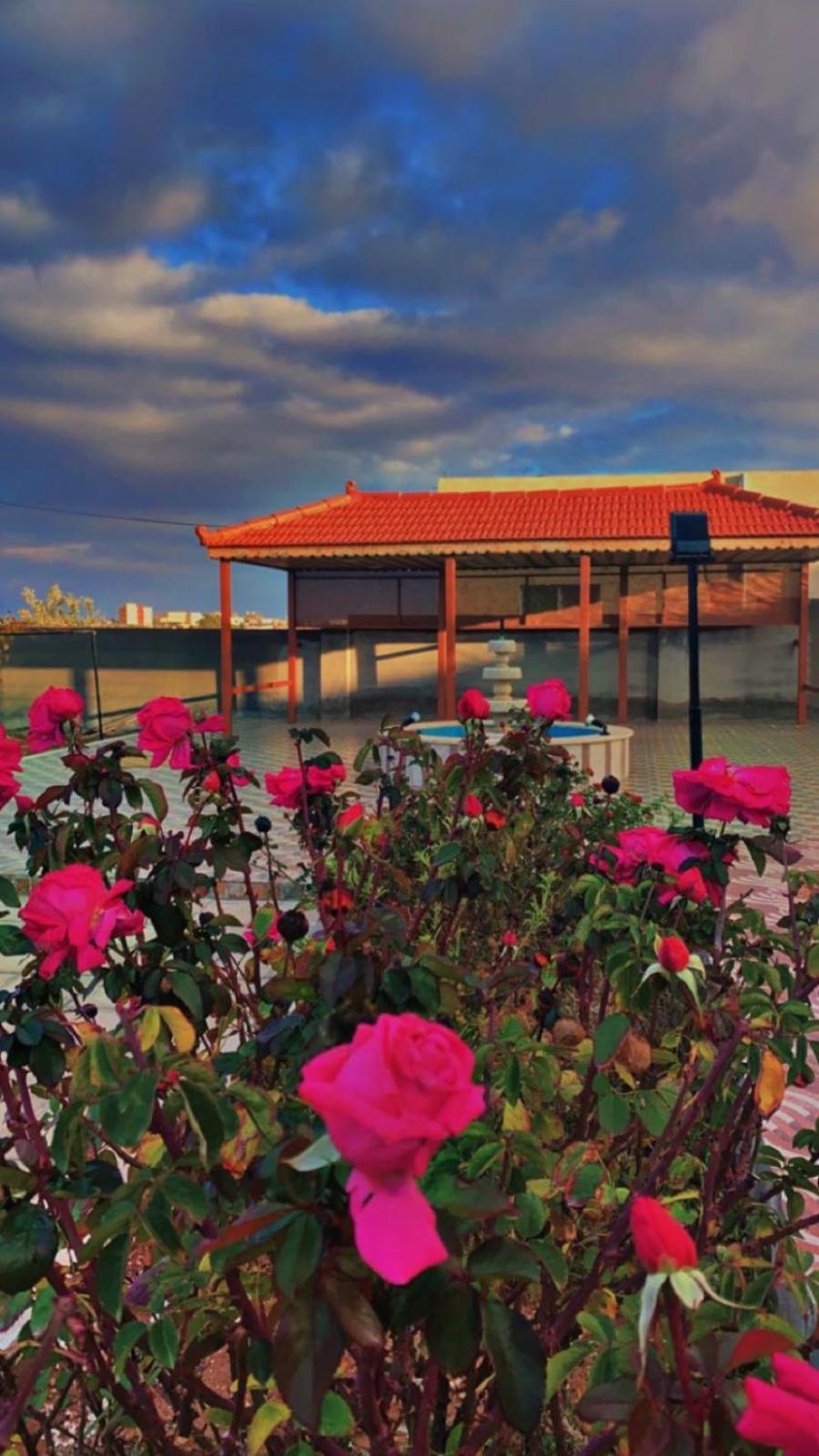 مزرعة النجم Najem Farm Βίλα Al-Qasr Εξωτερικό φωτογραφία